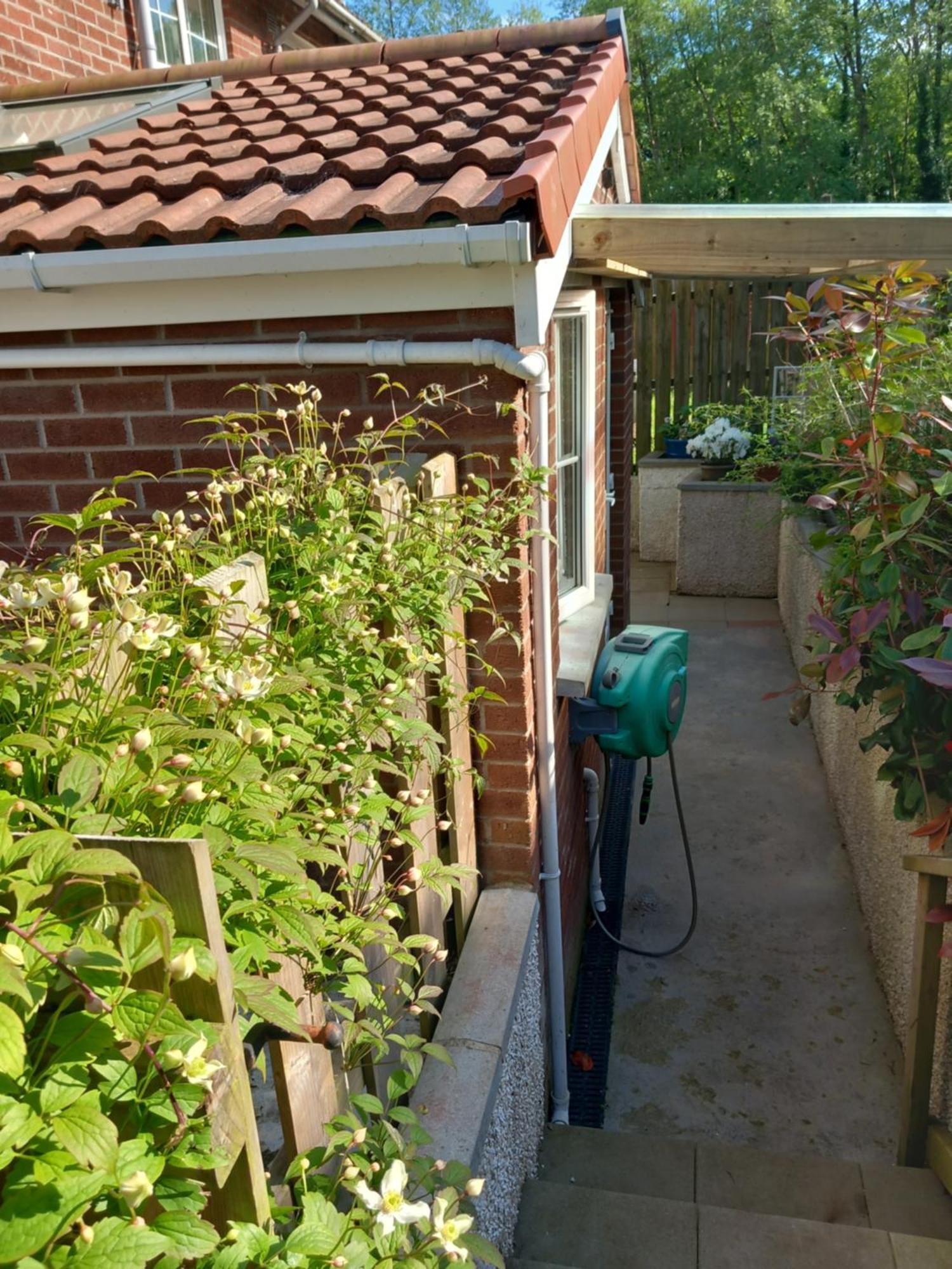 Waveney Villa Belfast Ngoại thất bức ảnh